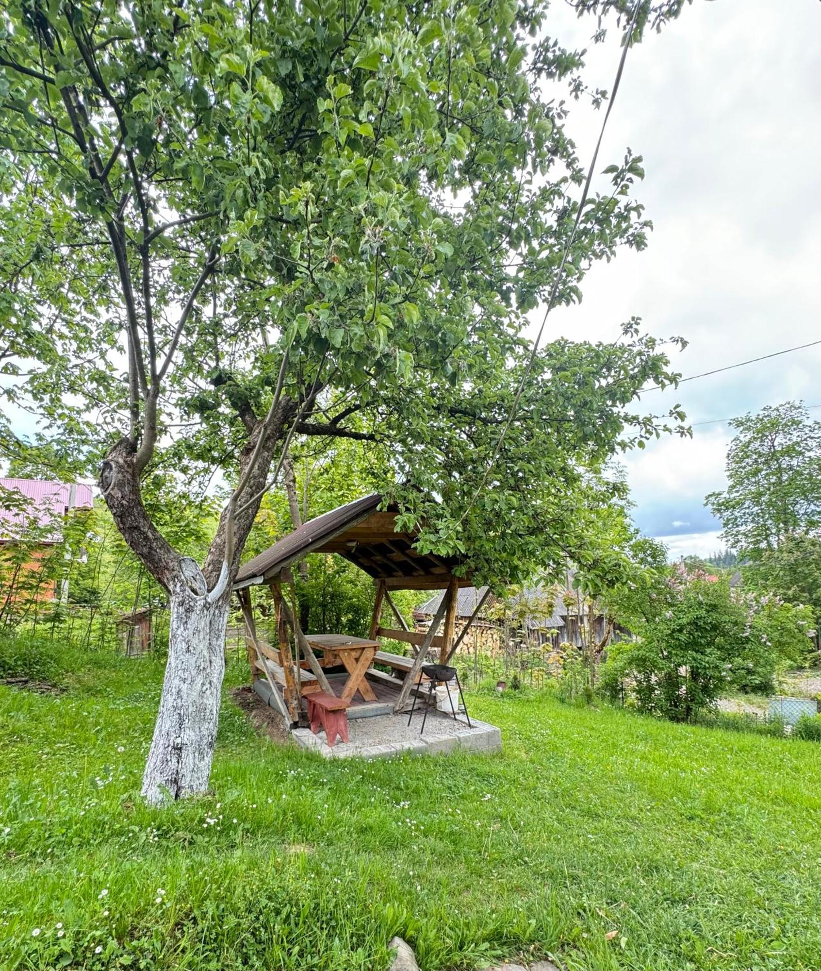 Dacha Podobovets 127 Exterior foto