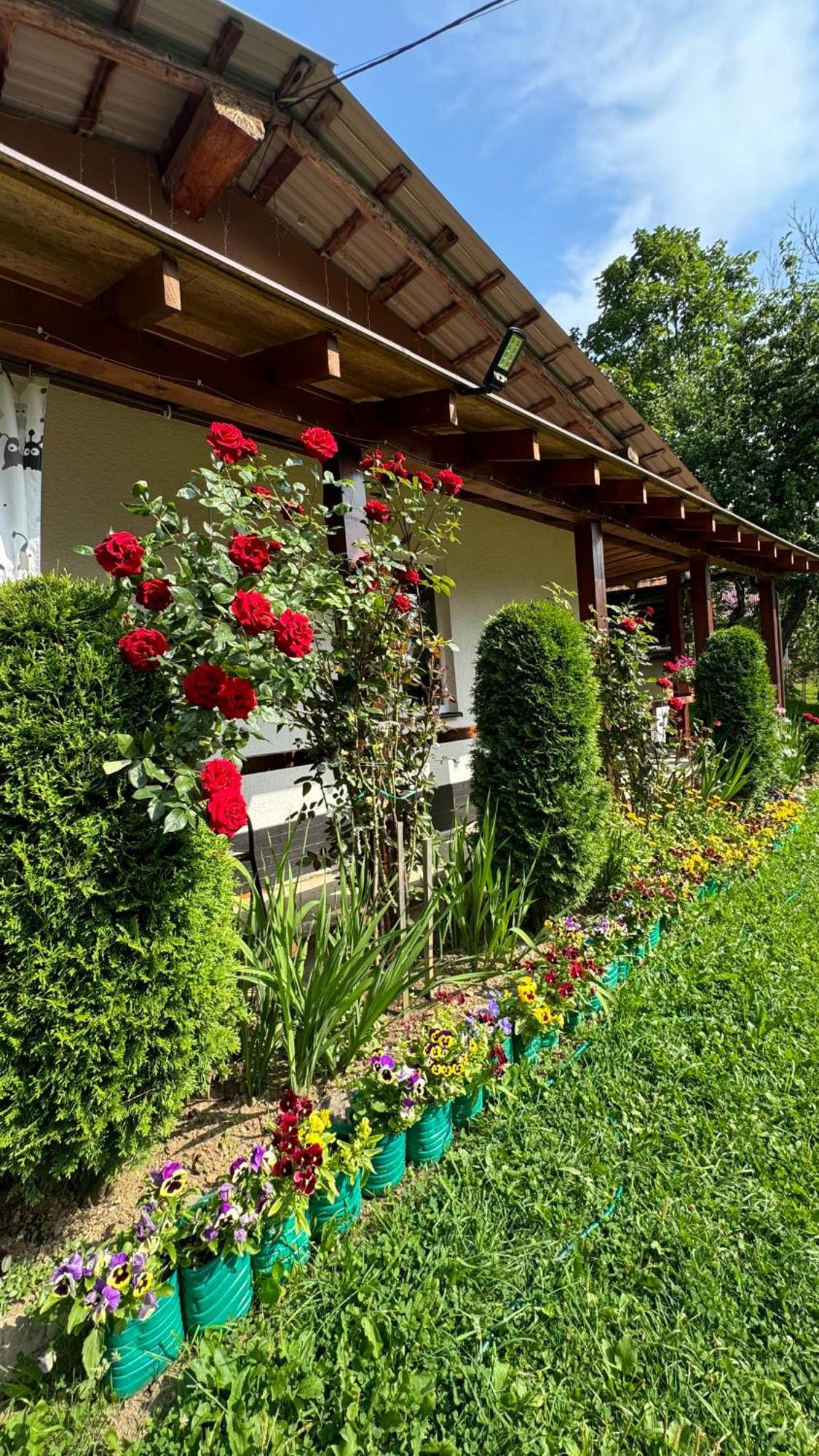 Dacha Podobovets 127 Exterior foto